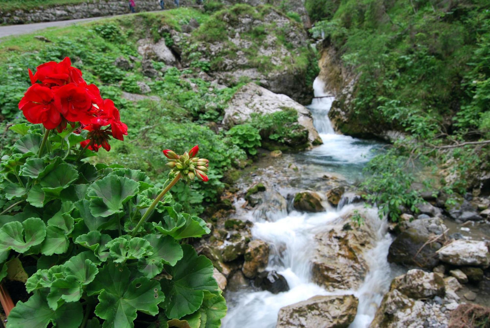 Dolomitissime Holiday Homes Marmolada Rocca Pietore Kültér fotó